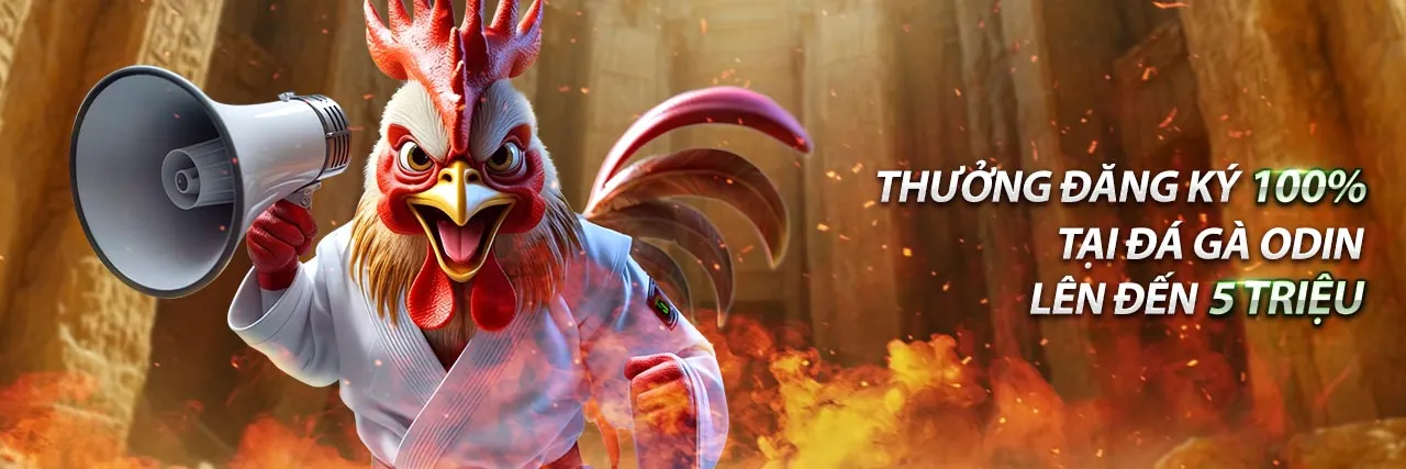 Hình ảnh mã tiền thưởng B52 và phần thưởng cờ bạc trực tuyến